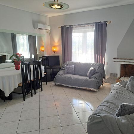 Four Seasons Apartment Artemida  Exterior foto